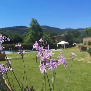  Bed and breakfast Alba Morus Sentiti A Casa Nel Cuo
