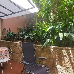 Terrace Monterosso Apartment Monterosso al Mare